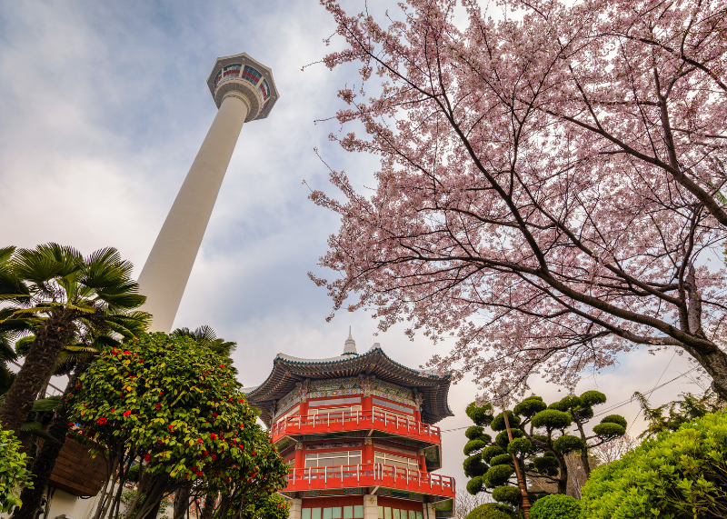 Busan Tower1
