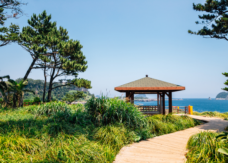 Jeju Olle Course 102