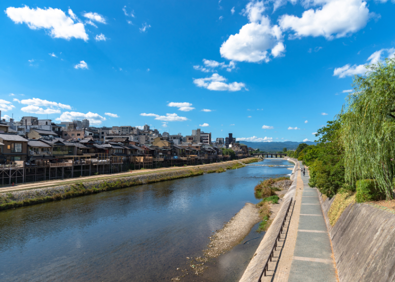 Kamo River1