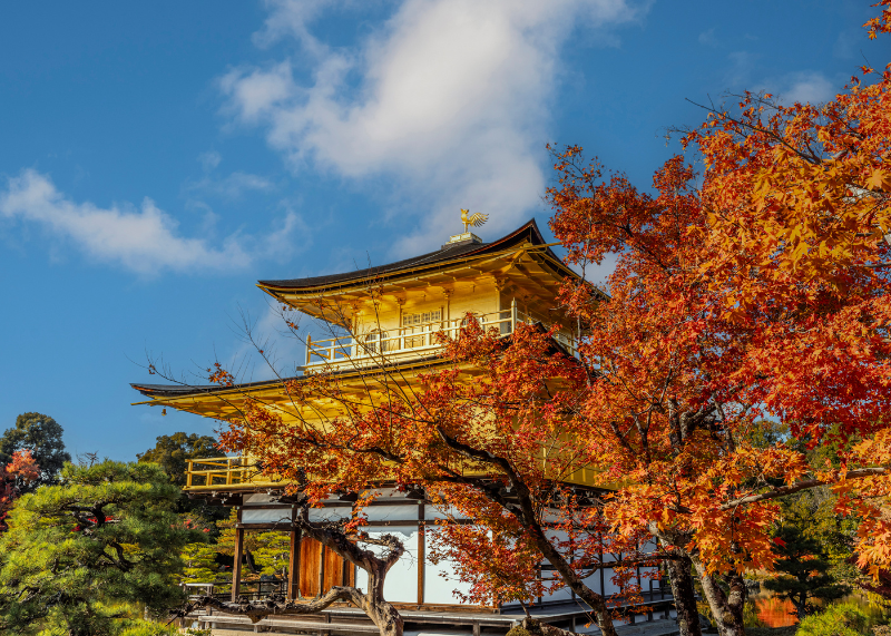 Kinkaku-ji (Golden Pavilion)2