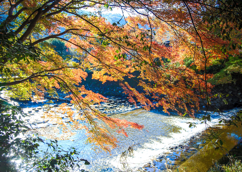 Mount Hiei