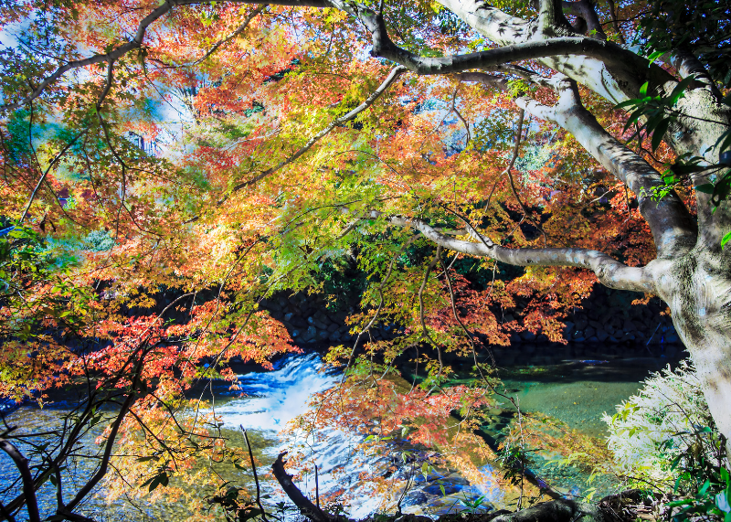 Mount Hiei2