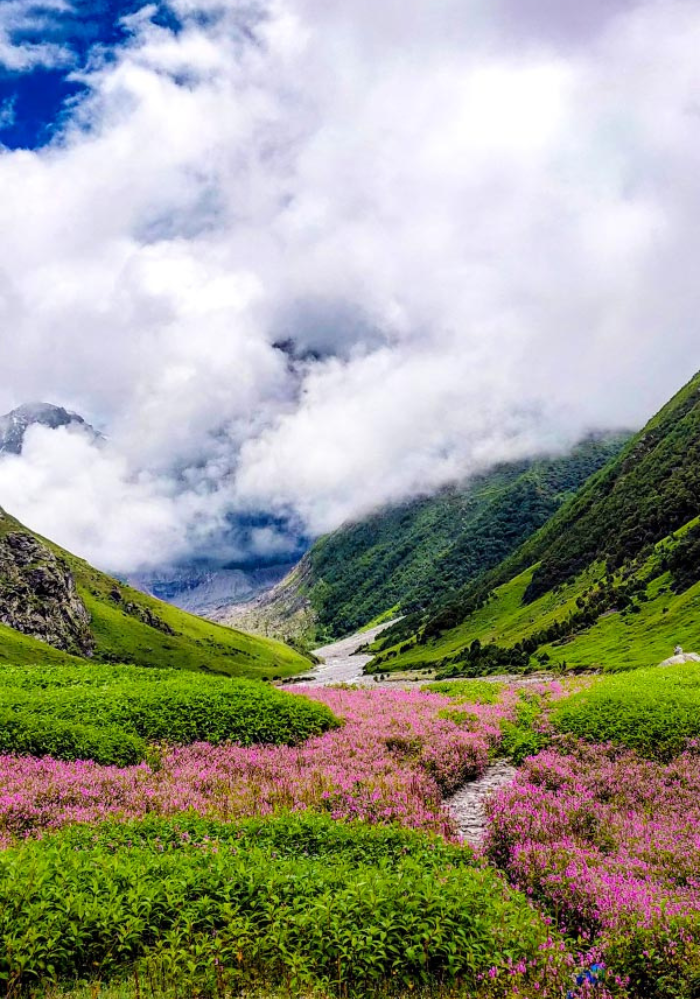 Nature