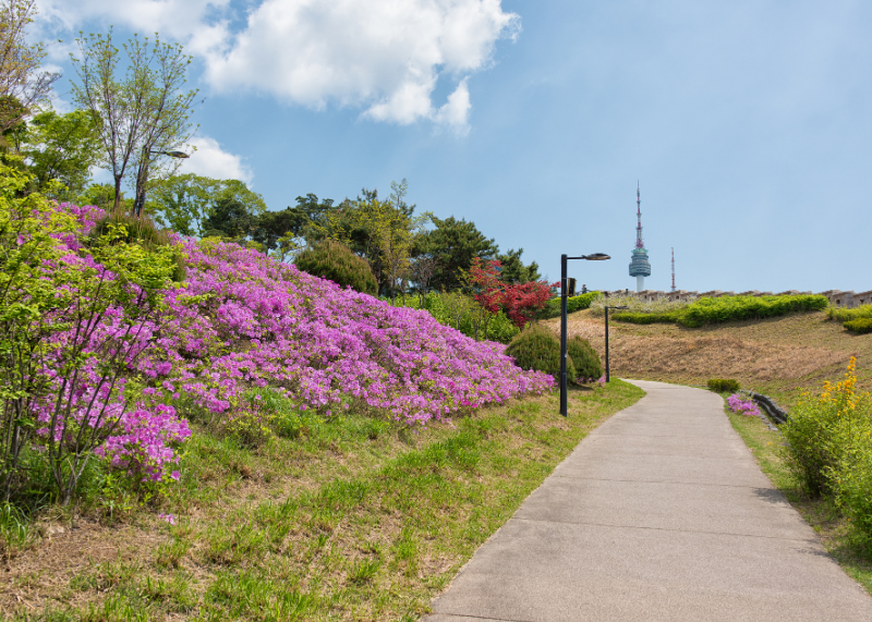 Namsan Park3