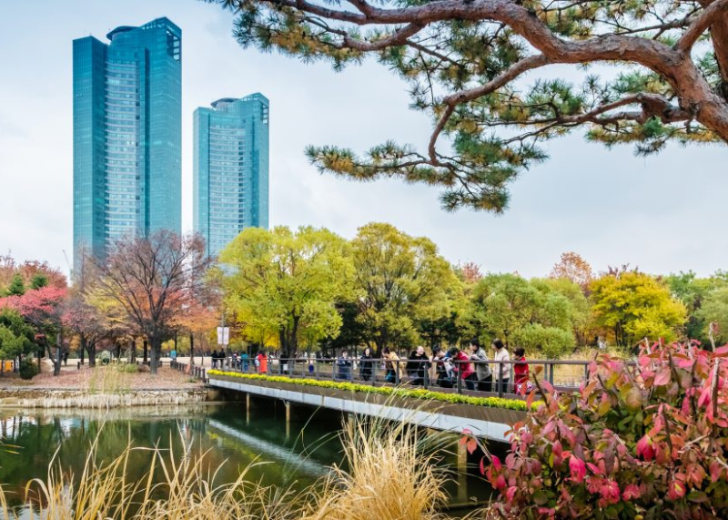Seoul Forest 1