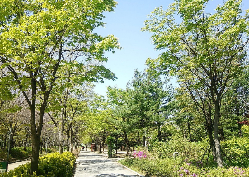 Seoul Forest 2