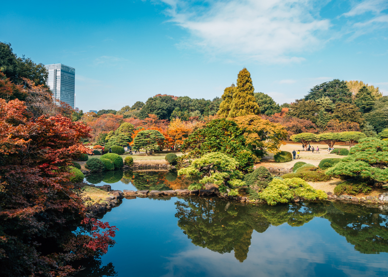 Shinjuku Garden