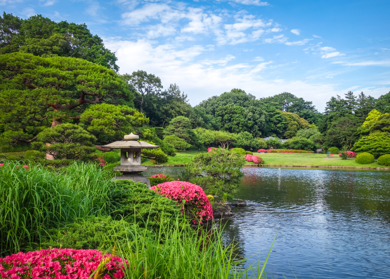 Shinjuku Garden1