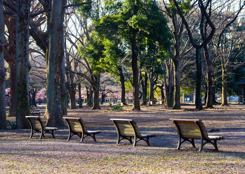 Yoyogi Park