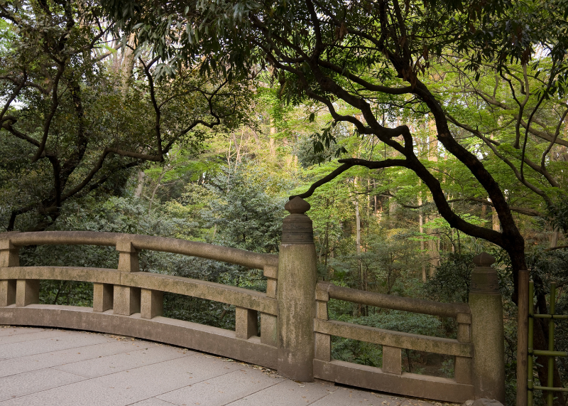 Yoyogi Park1