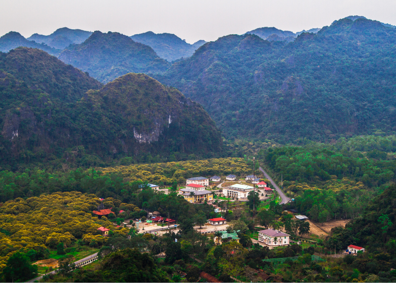 Cat Ba National Park1
