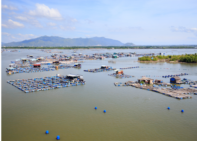 Long Hai Beach2